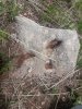 20170514_110045.jpg