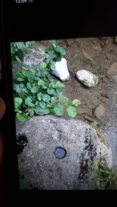 20220126_100448.jpg