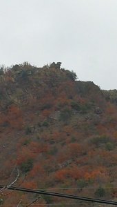 IMG_20220226_133724.jpg
