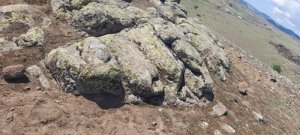 IMG-20220528-WA0021.jpg
