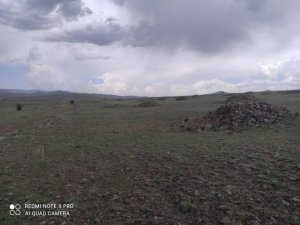 IMG-20220531-WA0008.jpg