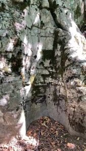 VideoCapture_20220724-154215.jpg