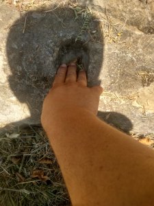 IMG_20220808_121744.jpg