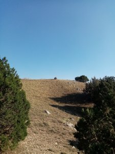 IMG_20220819_173950.jpg