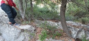 IMG_20211024_160250.jpg