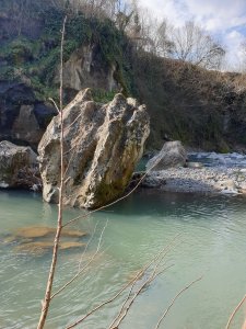 20190310_143247.jpg
