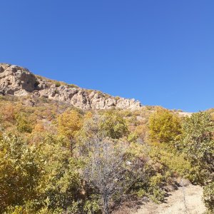 20221026_122107.jpg