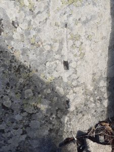 20221030_125141.jpg
