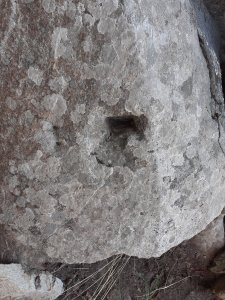 20221030_124725.jpg