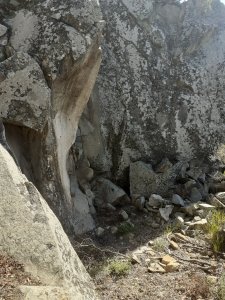 20221030_124803.jpg