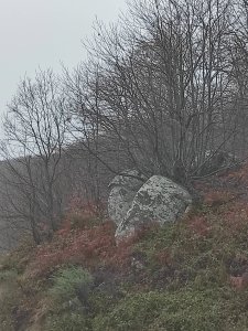 IMG_20210110_170356.jpg