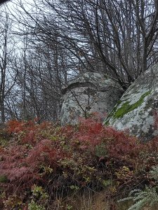 IMG_20210110_170433.jpg
