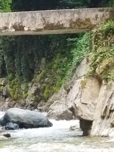 IMG_20220515_171713.jpg