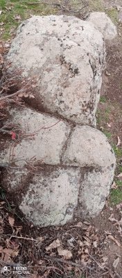 IMG_20221206_134045_827.jpg