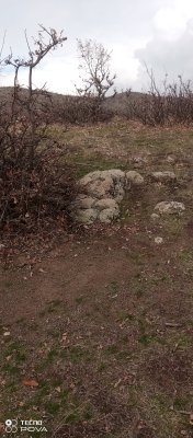 IMG_20221206_134115_460.jpg