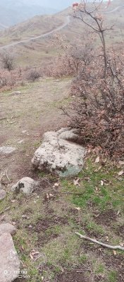 IMG_20221206_134106_273.jpg