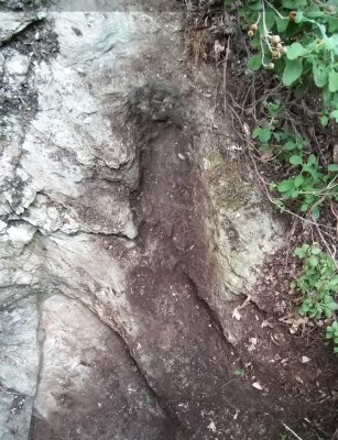 20221011_160736.jpg