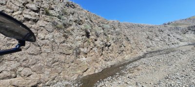 IMG-20230124-WA0031.jpg