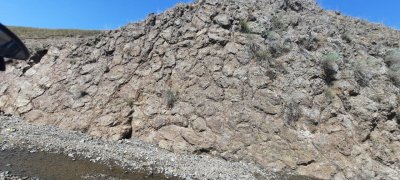 IMG-20230124-WA0039.jpg