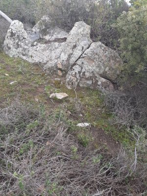 20230316_105533.jpg