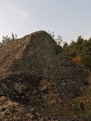 IMG_20211128_180144.jpg