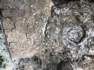IMG_0570.JPEG