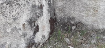 received_568705295451823.jpeg