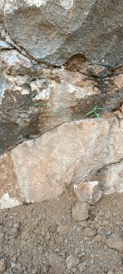 IMG_20230610_163244.jpg