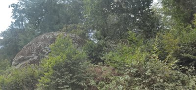 IMG_20230906_141506.jpg