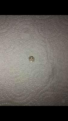 IMG-20231111-WA0010.jpg