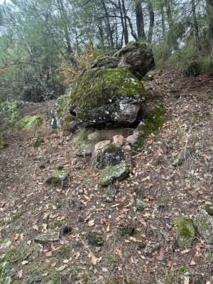 IMG_3325.jpeg