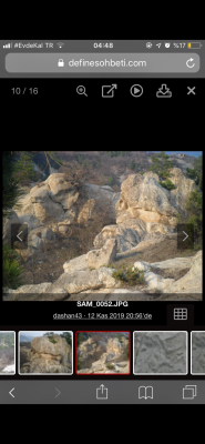 IMG_4798.png