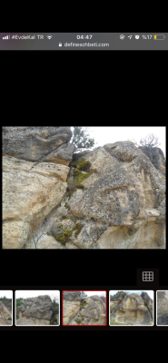 IMG_4801.png