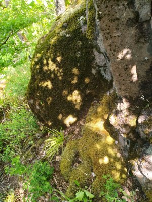 20240418_105150.jpg