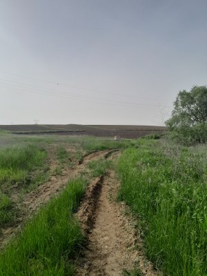 20240424_160934.jpg
