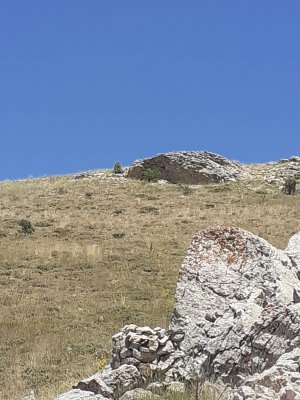 20240706_135018.jpg