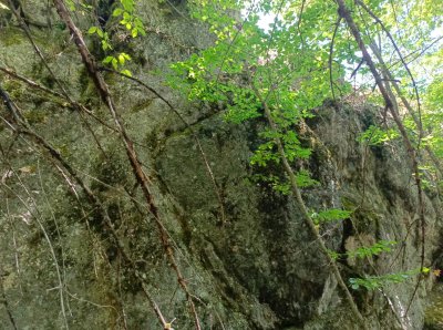 IMG-20240711-WA0024(2)_1hhh.jpg