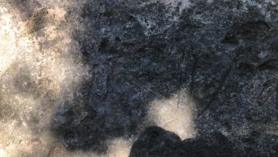 735f7ff6-63ff-4531-8073-eeecee38966f.jpg
