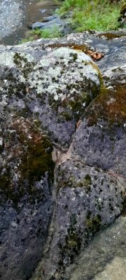 20240830_190912.jpg