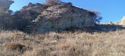 IMG-20241107-WA0003.jpg