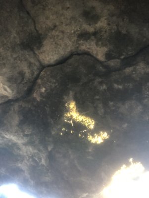IMG_0788.jpeg