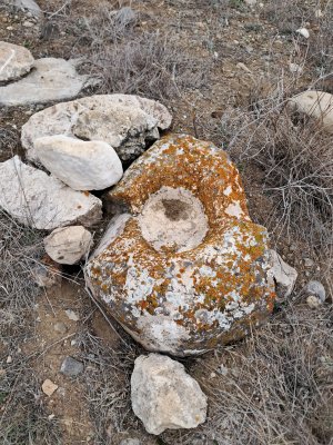 20250228_161247.jpg