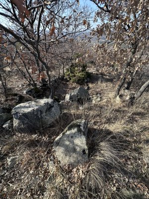 IMG_3083.jpeg