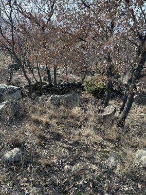 IMG_3078.jpeg