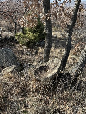IMG_3074.jpeg