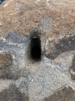IMG_5492.jpeg