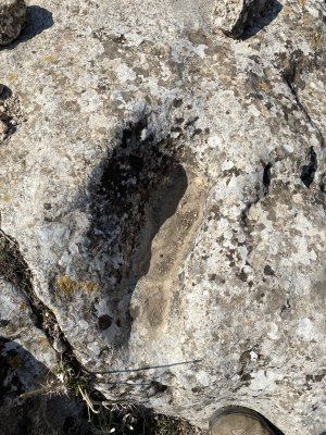 IMG_5515.jpeg