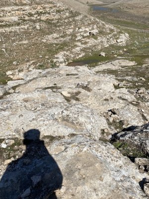 IMG_5525.jpeg