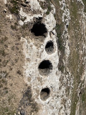 IMG_5518.jpeg