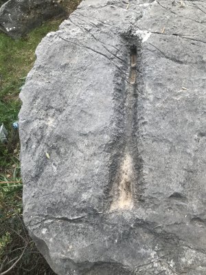 EEF145D1-9638-48D6-A77F-D2A3640499AA.jpeg
